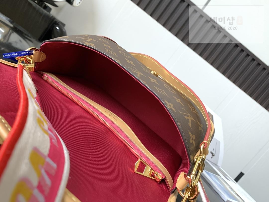 Louis Vuitton Louis Vuitton Diane Monogram Bag 14번 이미지