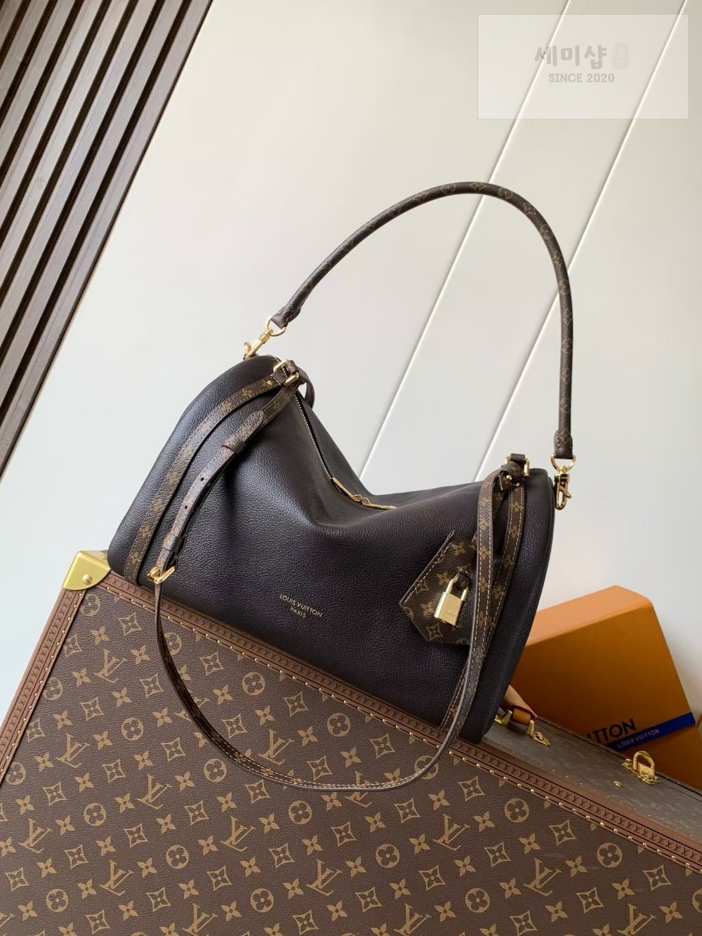 Louis Vuitton Louis Vuitton Express MM Bag 6번 이미지