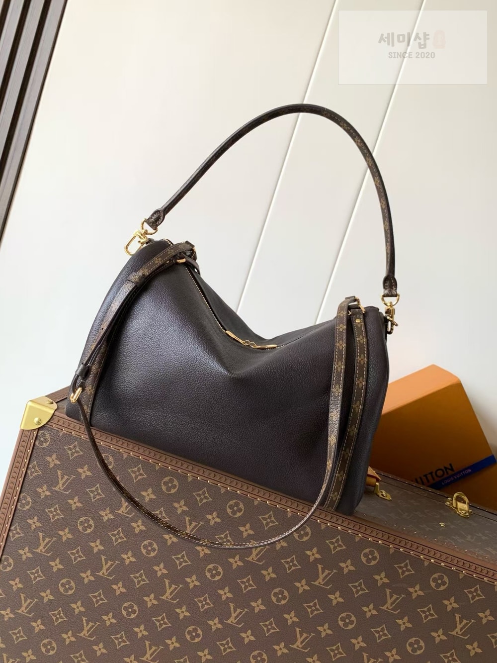Louis Vuitton Louis Vuitton Express MM Bag 1번 이미지