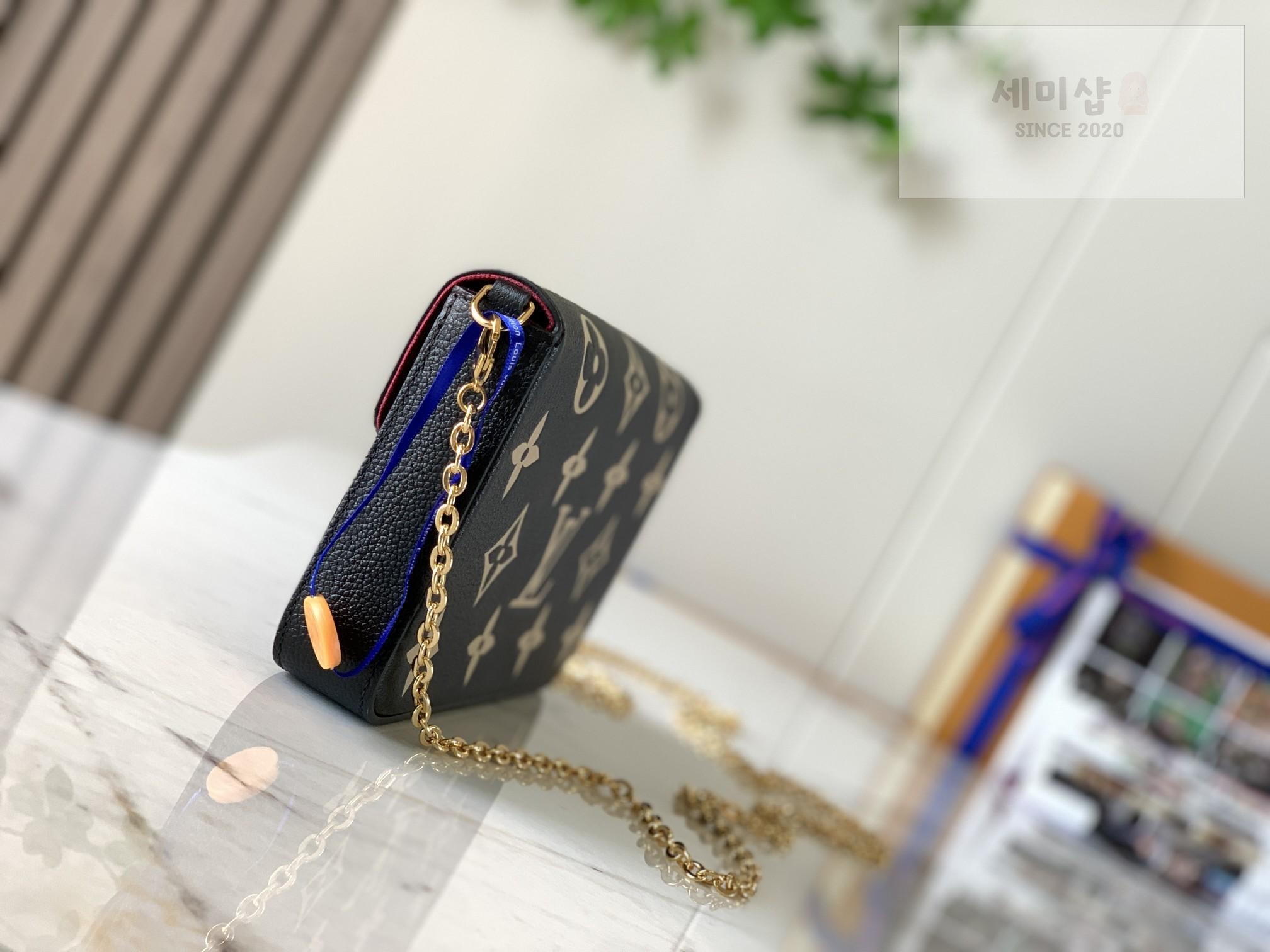 Louis Vuitton Louis Vuitton Felicie Pochette Bag 10번 이미지