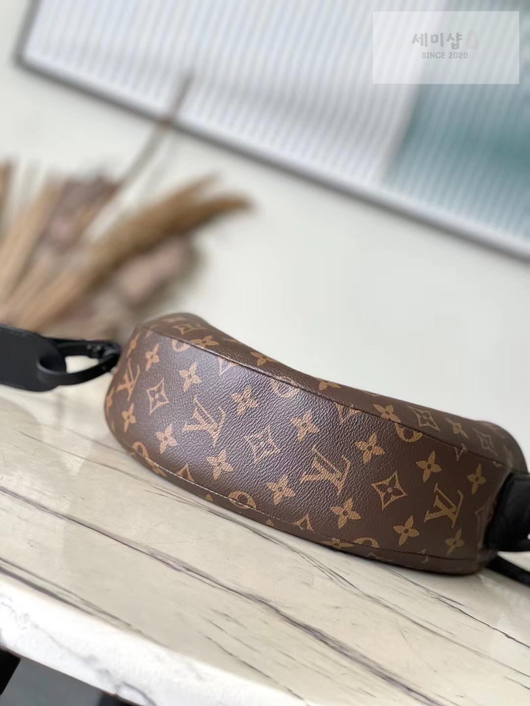 Louis Vuitton Louis Vuitton Hamac PM Monogram Bag 2번 이미지
