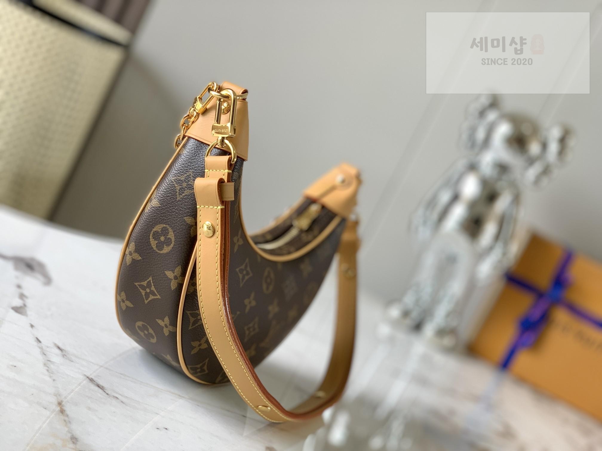 Louis Vuitton Louis Vuitton Loop Hobo Monogram Bag 9번 이미지