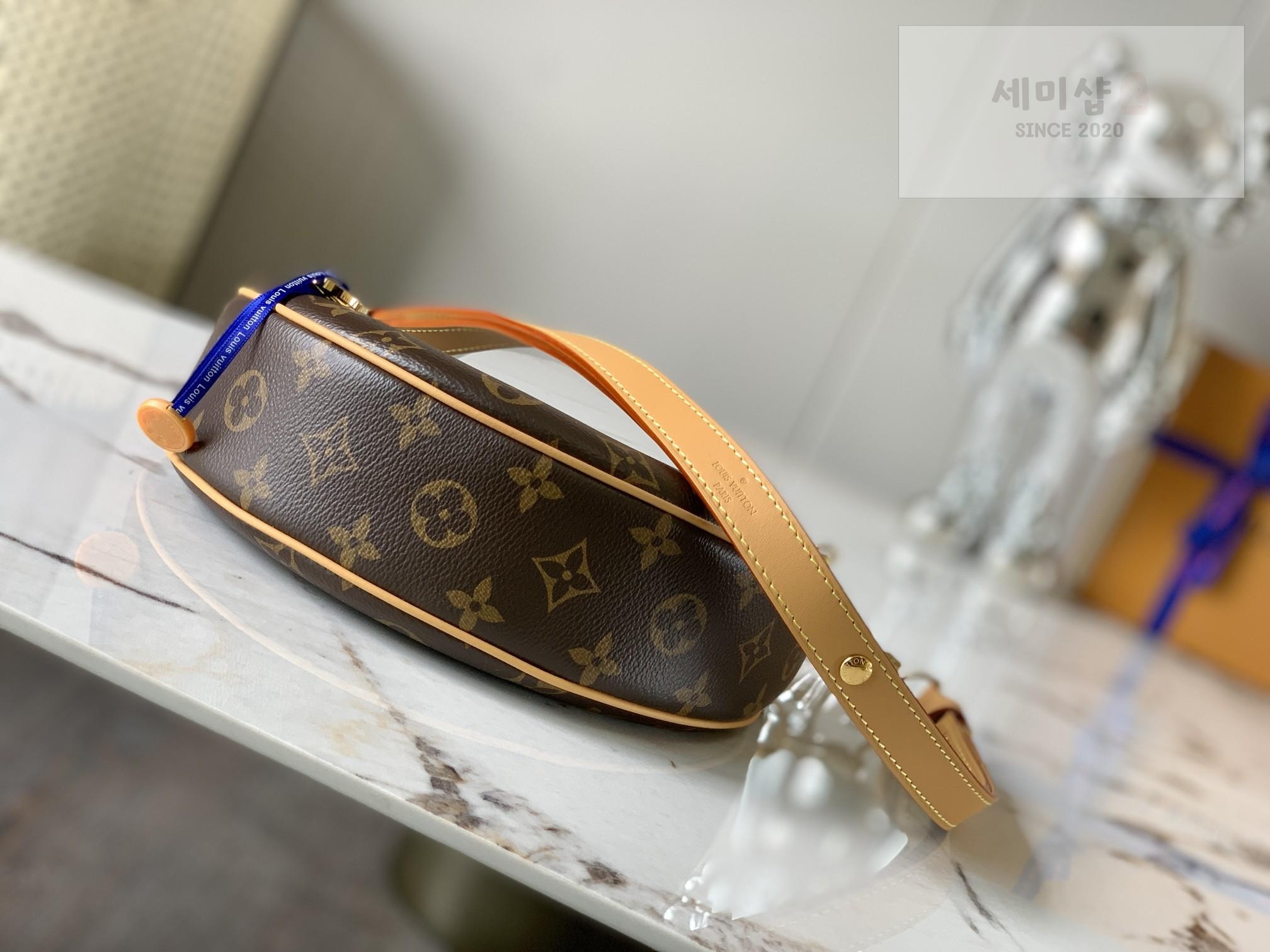 Louis Vuitton Louis Vuitton Loop Hobo Monogram Bag 2번 이미지