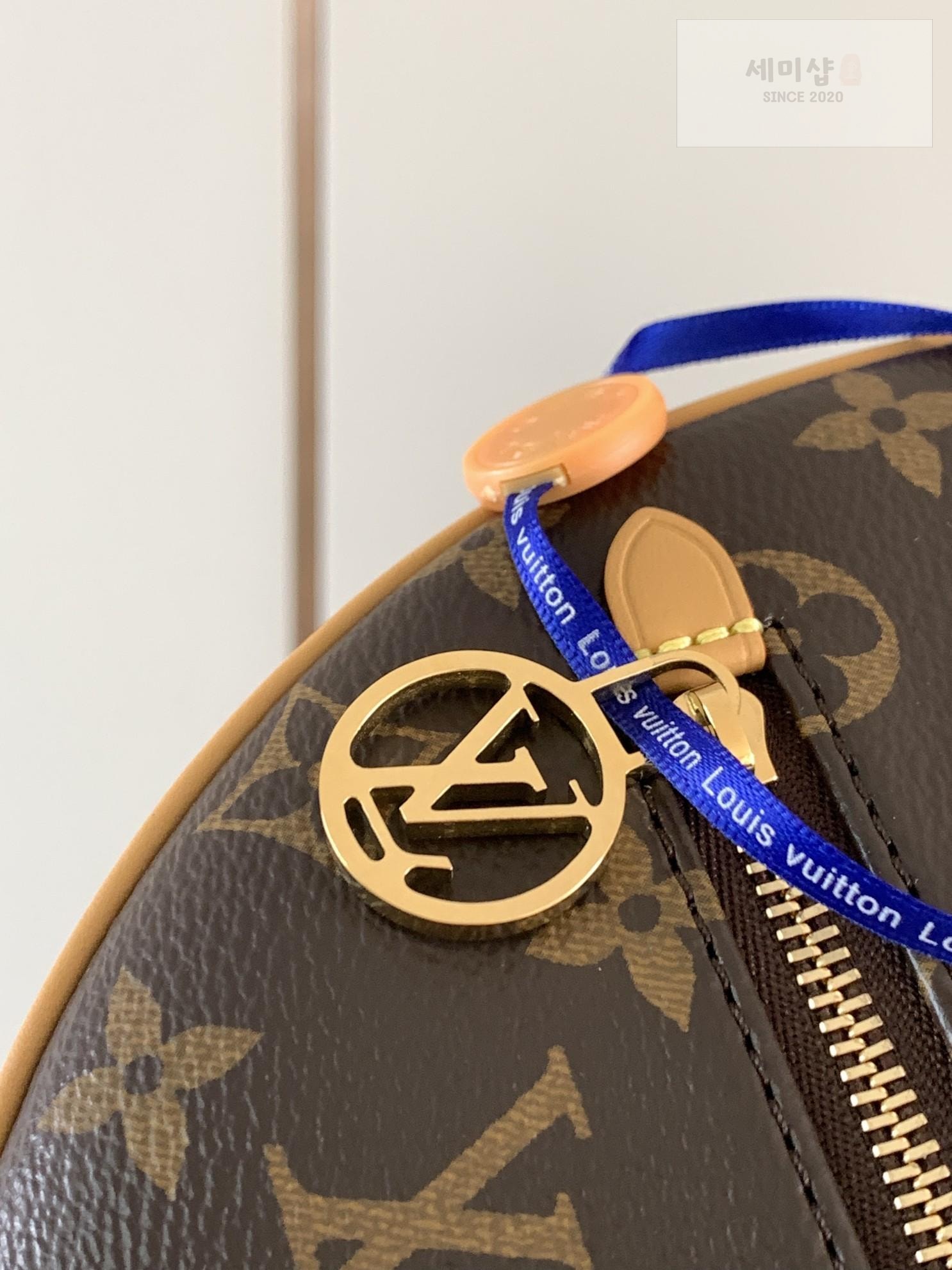 Louis Vuitton Louis Vuitton Loop Hobo Monogram Bag 4번 이미지