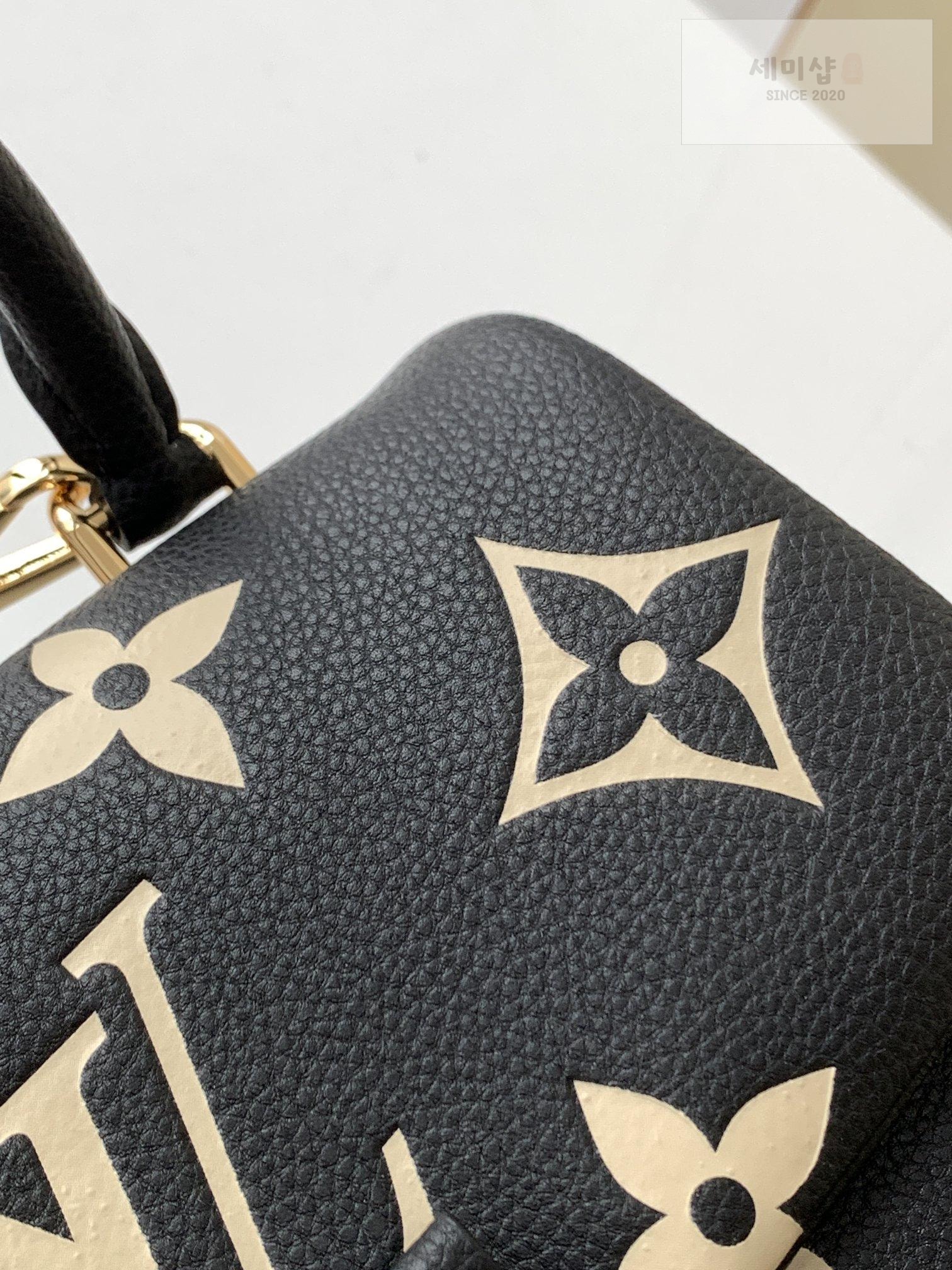 Louis Vuitton Louis Vuitton Madeleine BB Bag 5번 이미지