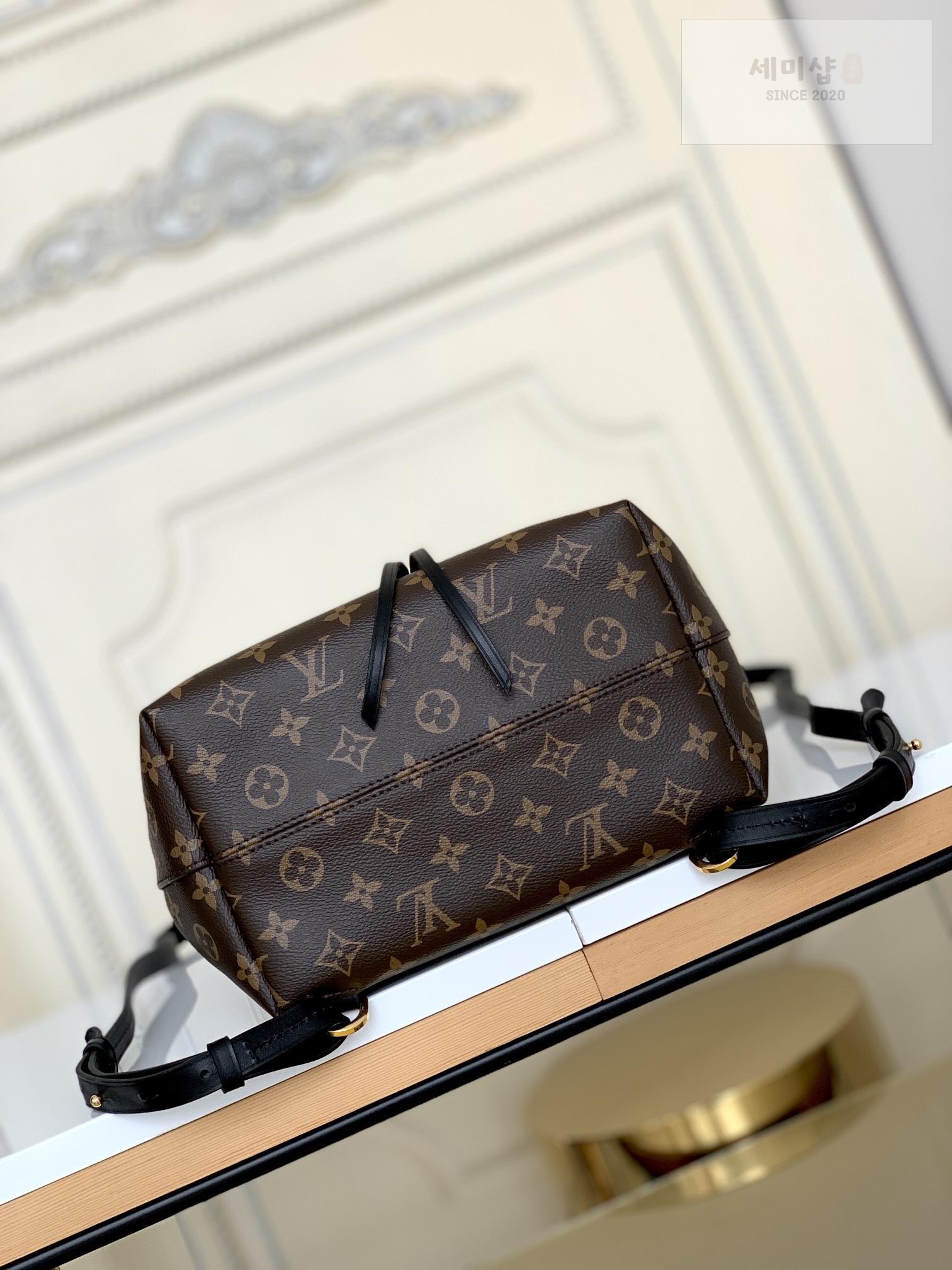 Louis Vuitton Louis Vuitton Montsouris PM Bag 2번 이미지