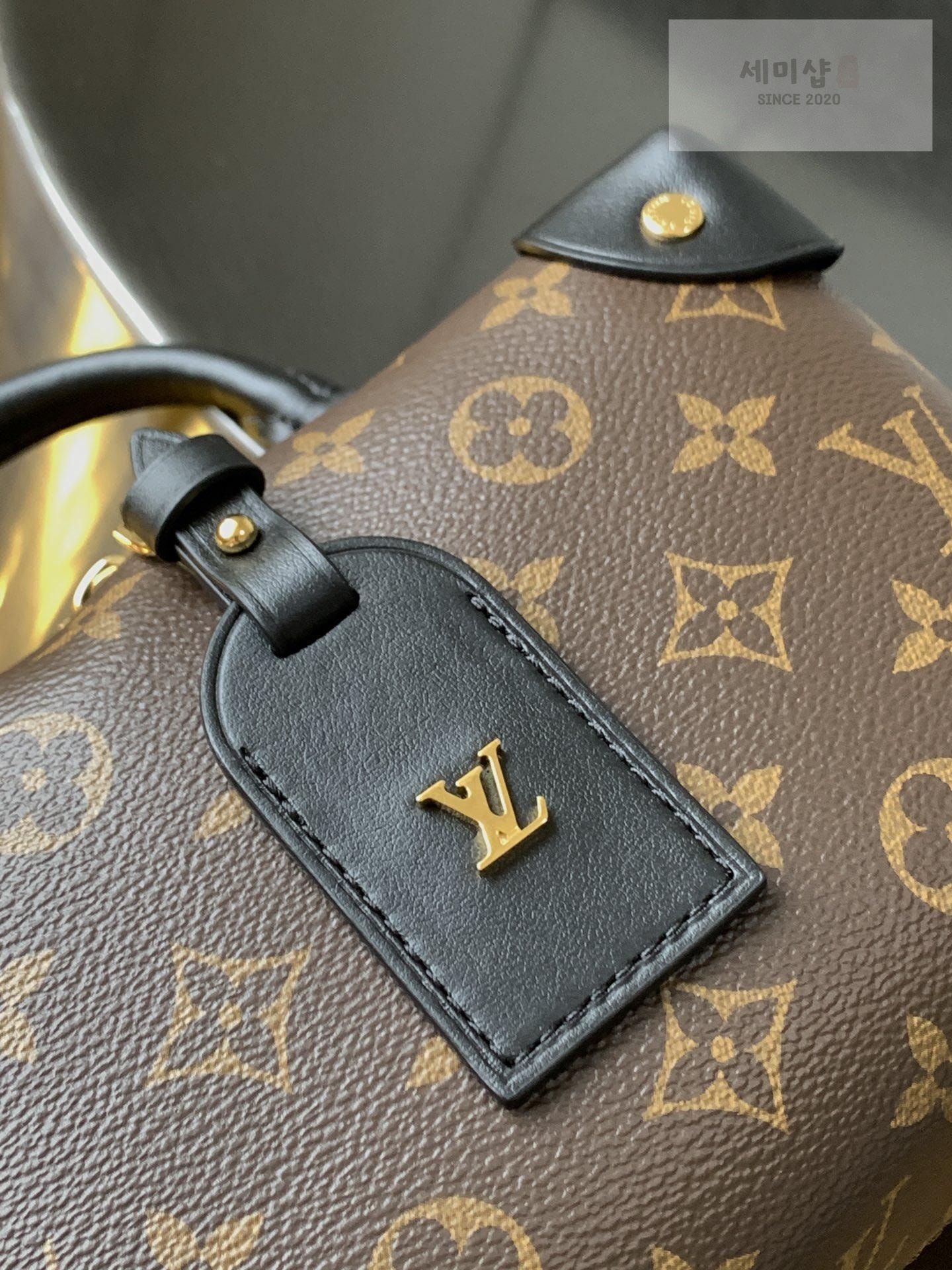 Louis Vuitton Louis Vuitton Petite Mal Souple Monogram Bag 4번 이미지