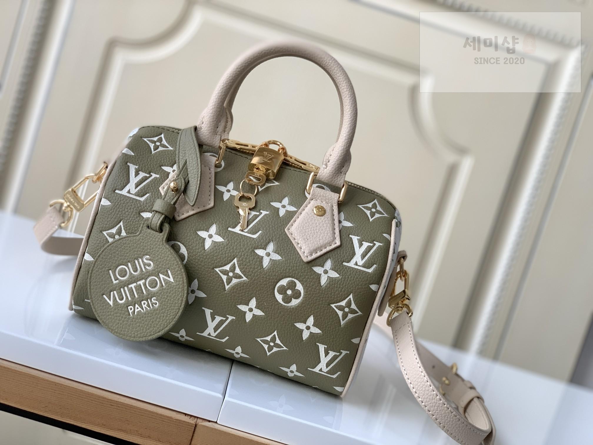 Louis Vuitton Louis Vuitton Speedy Bandoullier 20 Bag 16번 이미지