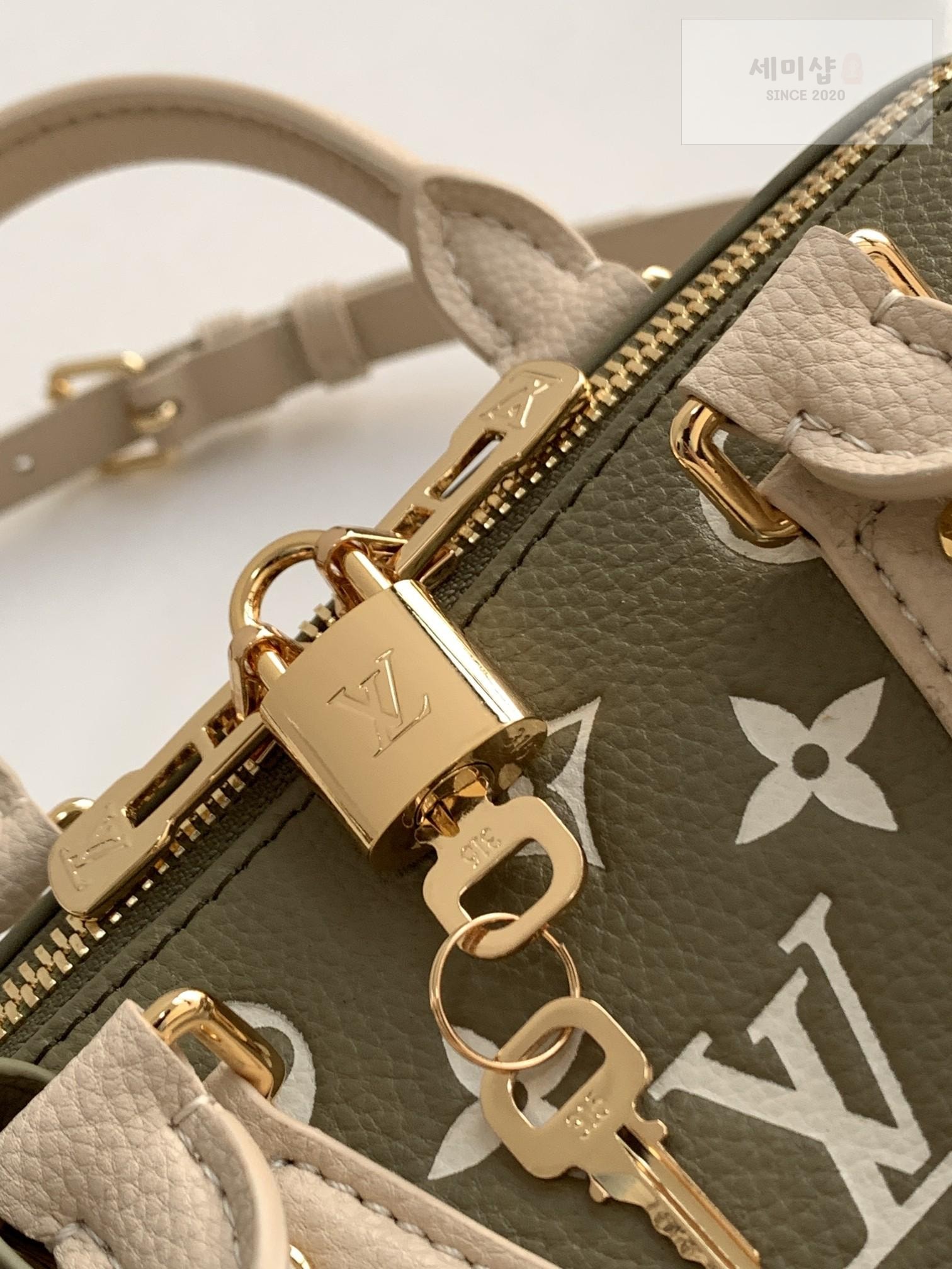 Louis Vuitton Louis Vuitton Speedy Bandoullier 20 Bag 3번 이미지