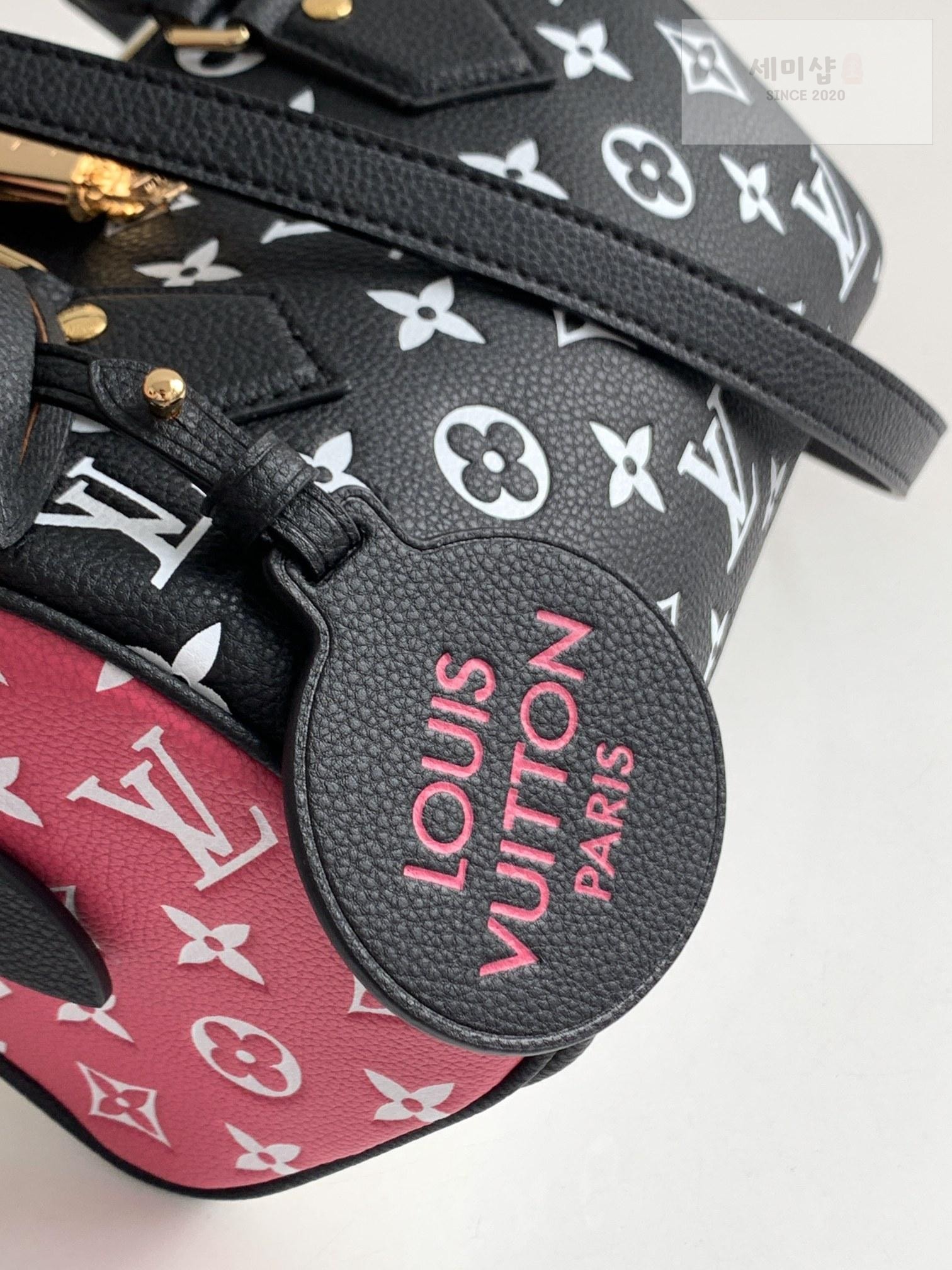 Louis Vuitton Louis Vuitton Speedy Bandoullier 20 Bag 12번 이미지