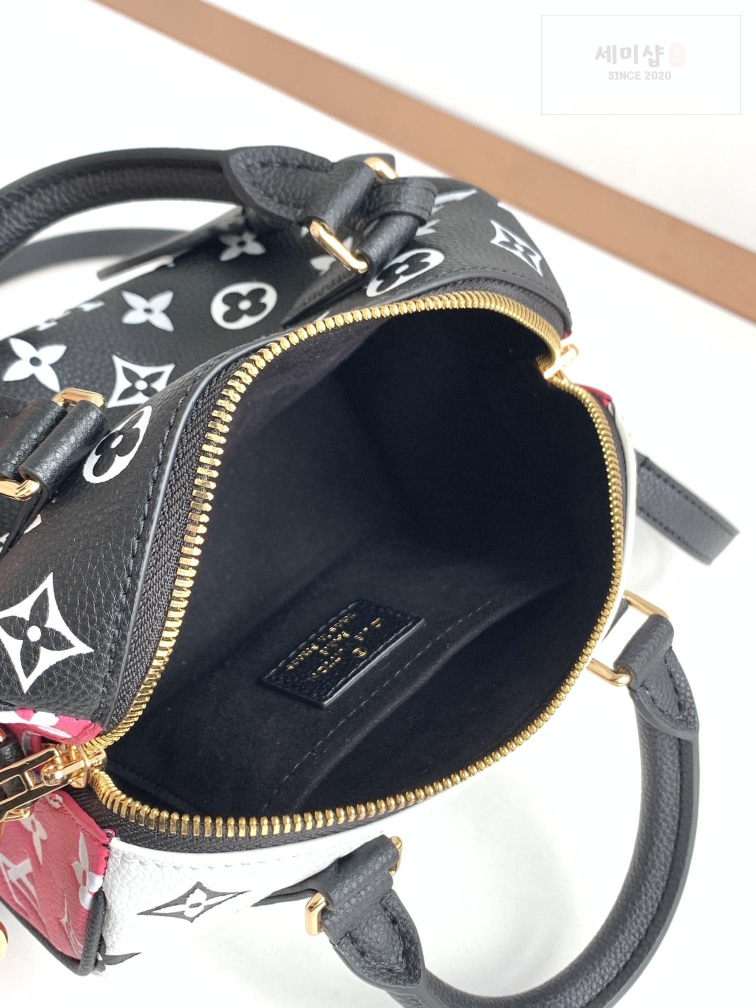 Louis Vuitton Louis Vuitton Speedy Bandoullier 20 Bag 17번 이미지