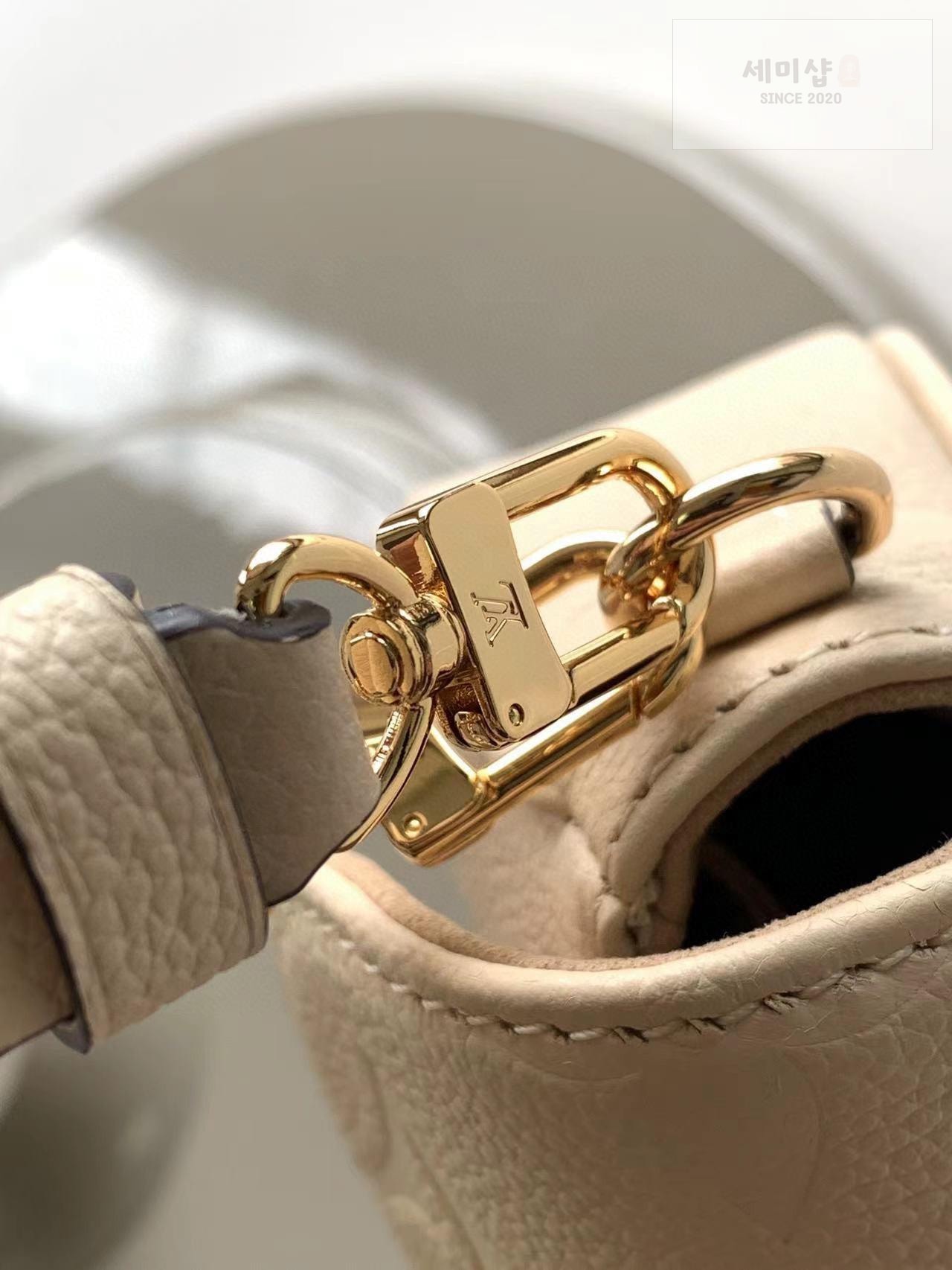 Louis Vuitton Louis Vuitton Wallet On Chain Ivy Bag 5번 이미지