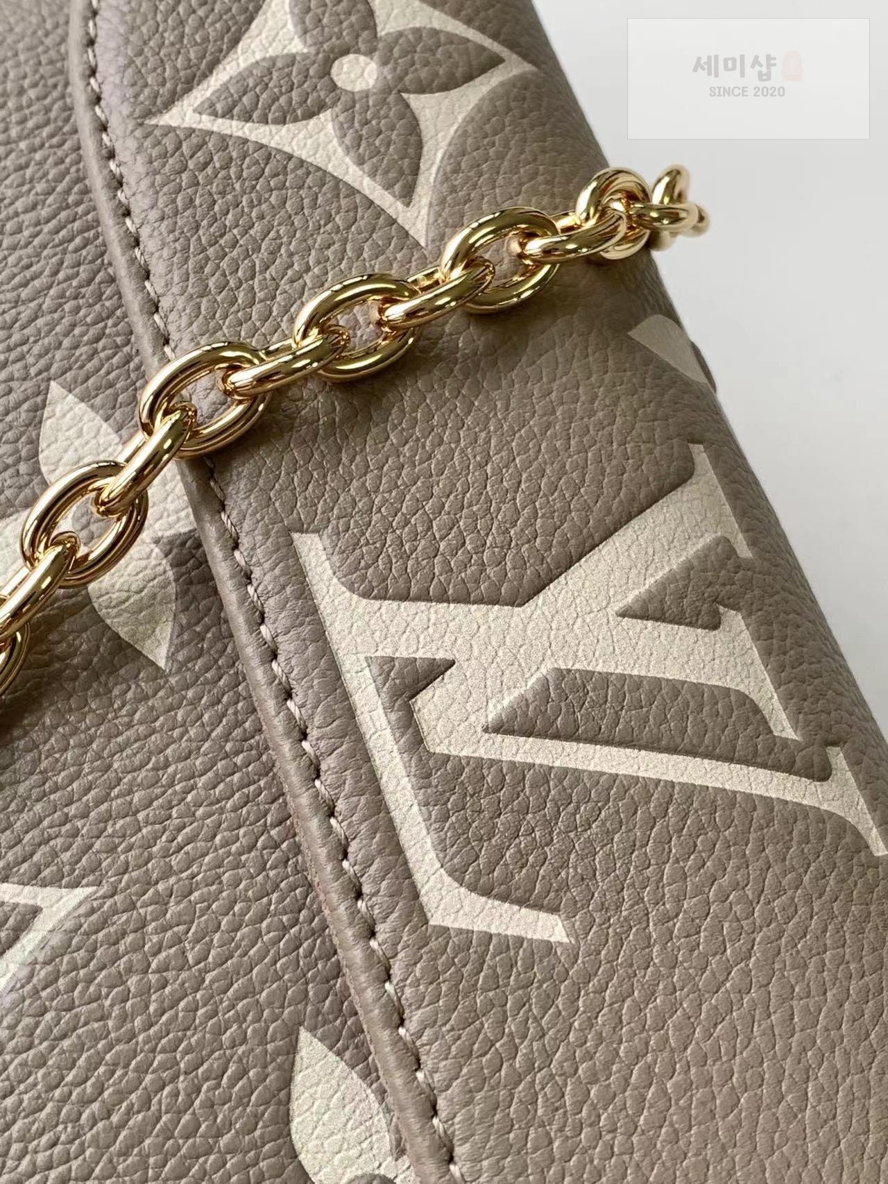 Louis Vuitton Louis Vuitton Wallet On Chain Ivy Bag 18번 이미지