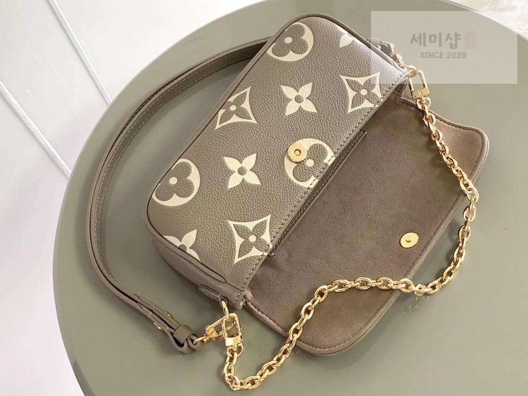 Louis Vuitton Louis Vuitton Wallet On Chain Ivy Bag 19번 이미지