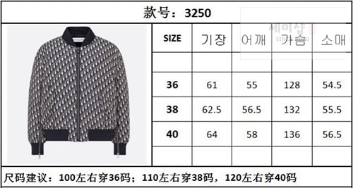 디올 디올 오블리크 클래식 봄버 자켓 블루종 의류 12번 이미지