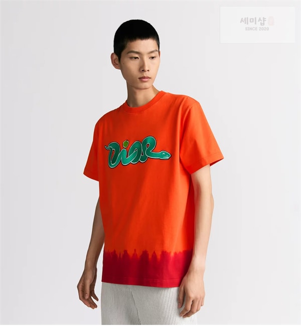 D I O R 디올 x KAWS 로고 반팔 티셔츠 의류 1번 이미지