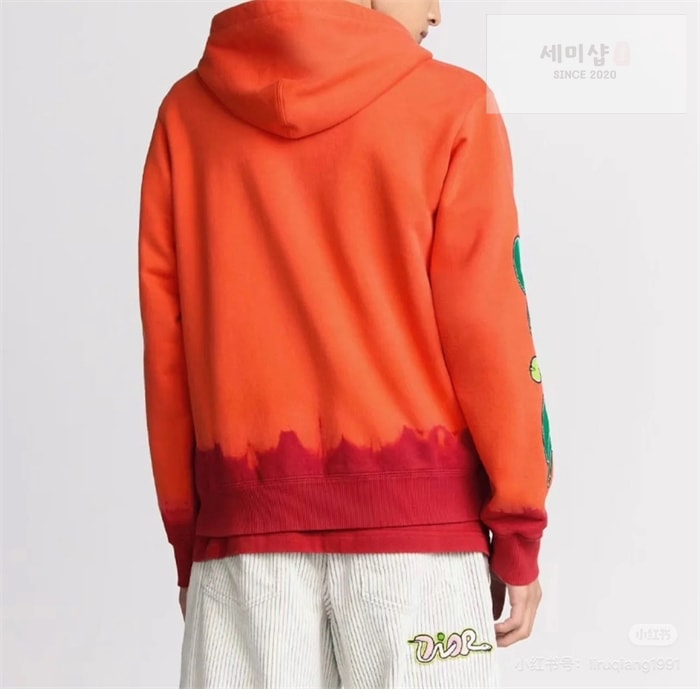 D I O R 디올 x KAWS 로고 후드 집업 의류 2번 이미지