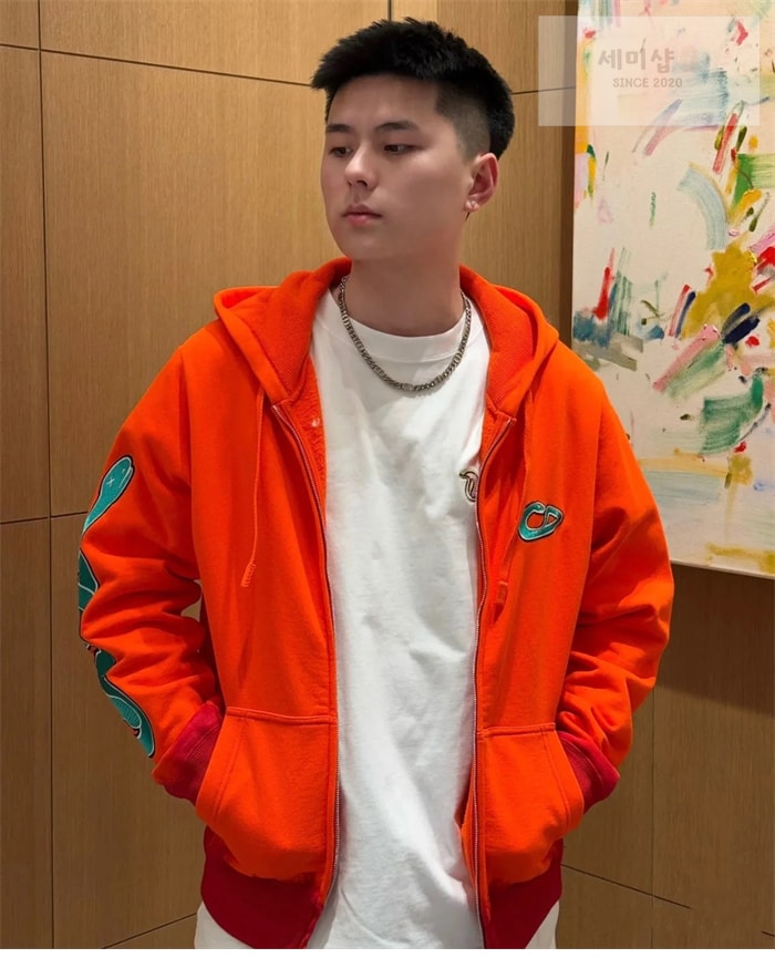 D I O R 디올 x KAWS 로고 후드 집업 의류 21번 이미지