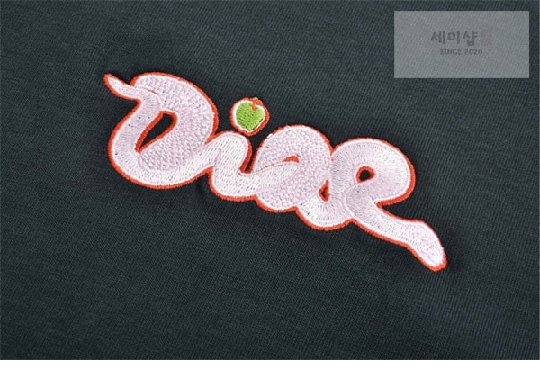 D I O R 디올 x KAWS 하우스 시그니처 반팔 티셔츠 의류 13번 이미지
