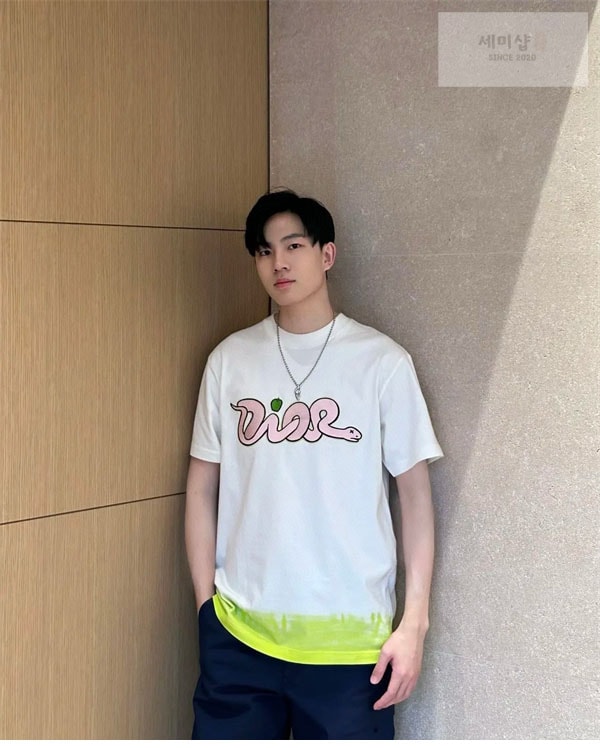 D I O R 디올 x KAWS 하우스 시그니처 스네이크 콘트라스트 티셔츠 의류 9번 이미지