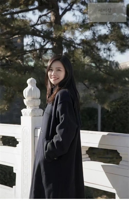 Loro Piana 로로피아나 Ardis 캐시미어 롱 코트 의류 5번 이미지