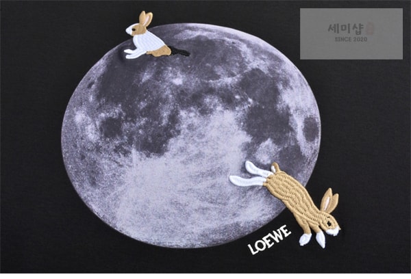 Loewe 로에베 x 수나 후지타 Bunny & Moon 반팔 티셔츠 의류 7번 이미지