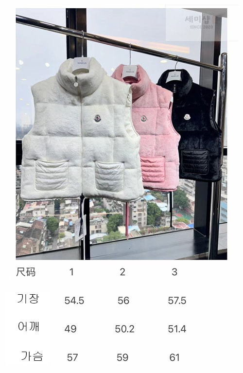 Moncler 몽클레어 아르크 Arques 다운 패딩 베스트 의류 29번 이미지