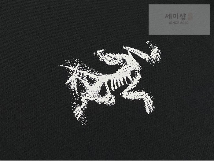 Arc Teryx 아크테릭스 크래그 코튼 버드타일 반팔 화이트 의류 11번 이미지