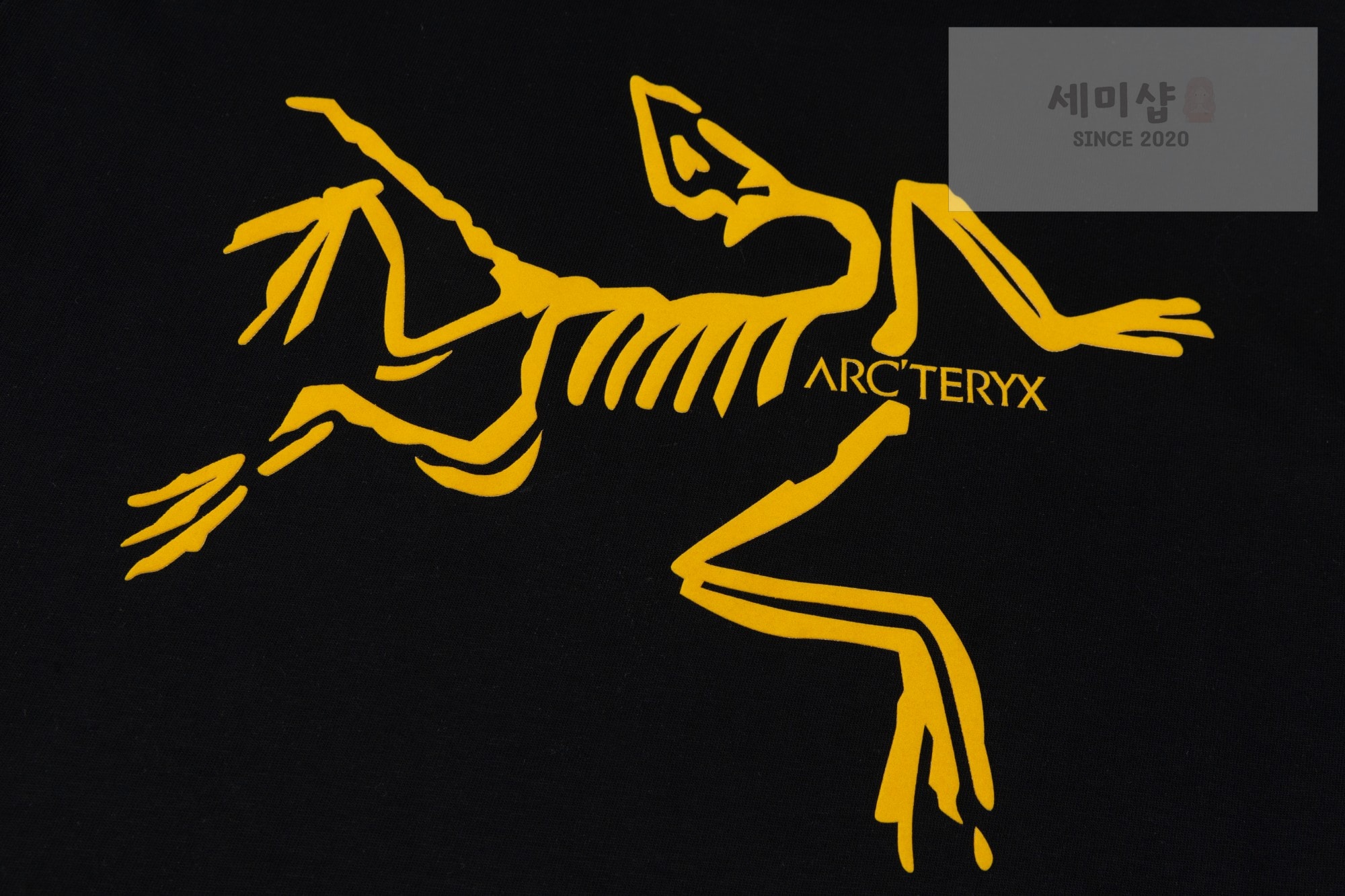 Arc Teryx 아크테릭스 아티스트 리리즈 시오타니 나오 티셔츠 블랙 의류 6번 이미지
