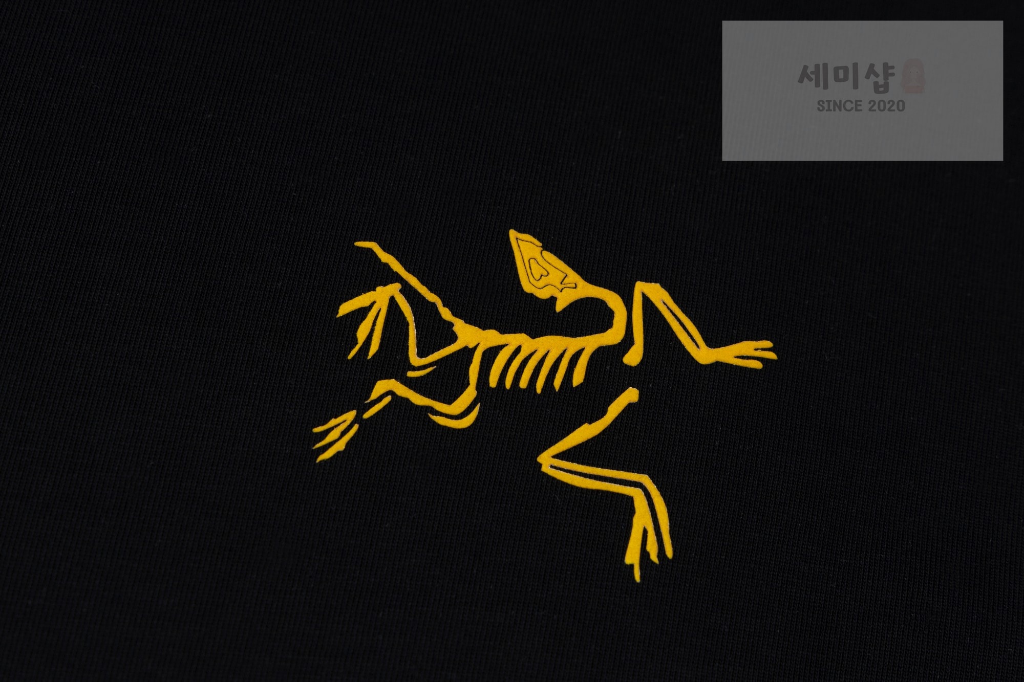 Arc Teryx 아크테릭스 아티스트 리리즈 시오타니 나오 티셔츠 블랙 의류 7번 이미지