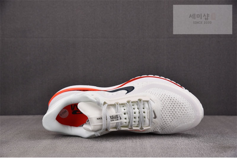 Nike 나이키 페가수스 프리미엄 서밋 화이트 브라이트 크림슨 HQ2592-101 신발 13번 이미지