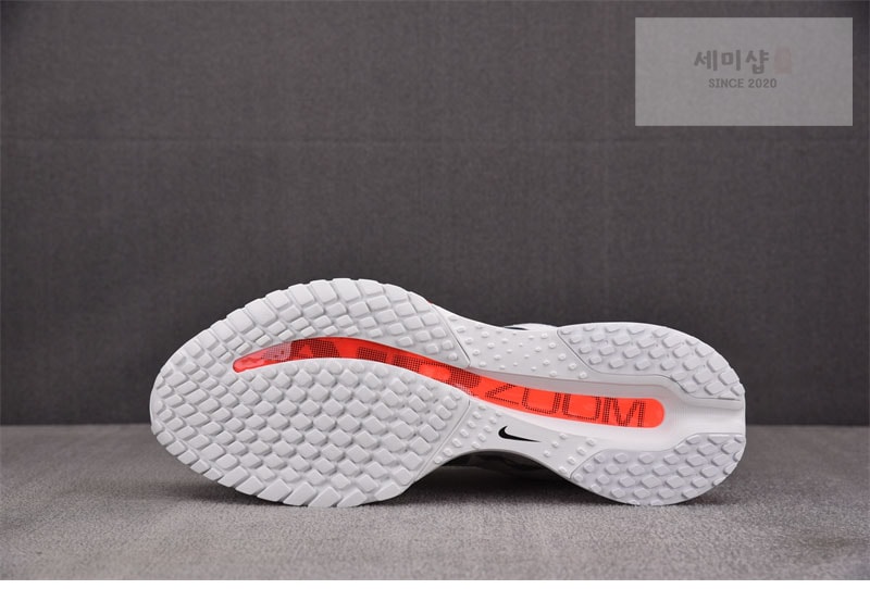 Nike 나이키 페가수스 프리미엄 서밋 화이트 브라이트 크림슨 HQ2592-101 신발 14번 이미지