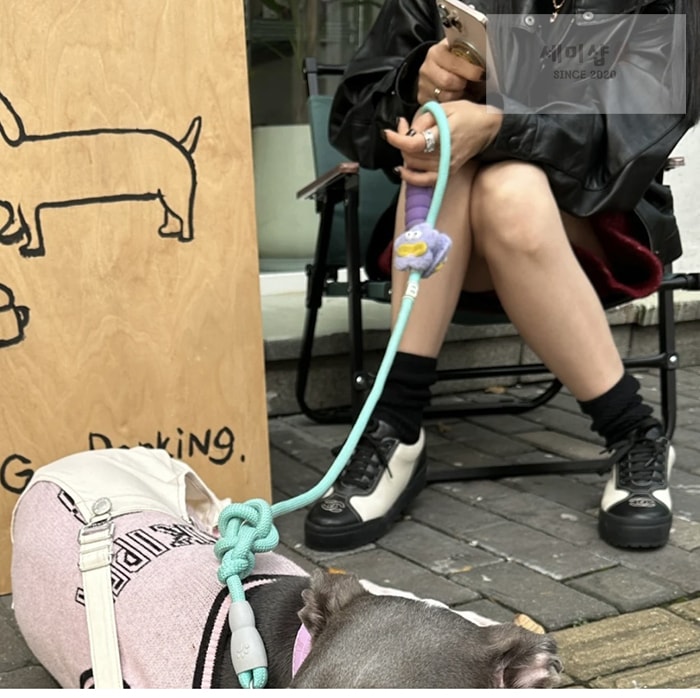 C H A N E L 샤넬 24s CC로고 배색 스니커즈 신발 1번 이미지